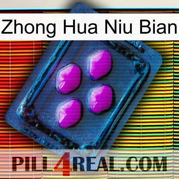 Zhong Hua Niu Bian 04.jpg